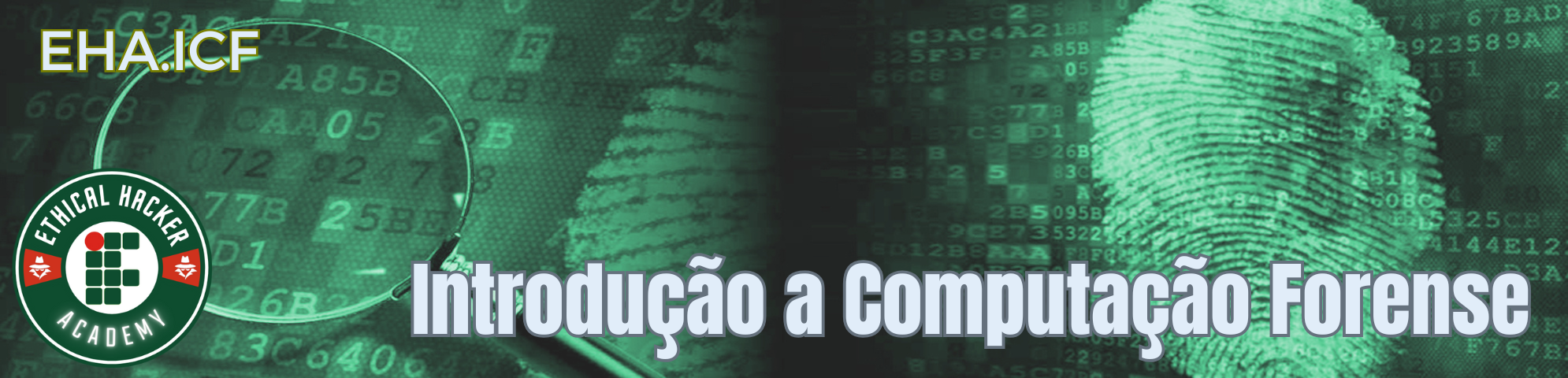 Introdução a Computação Forense